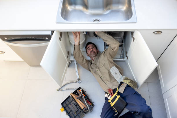 Best Sewer Line Repair  in Genoa, IL