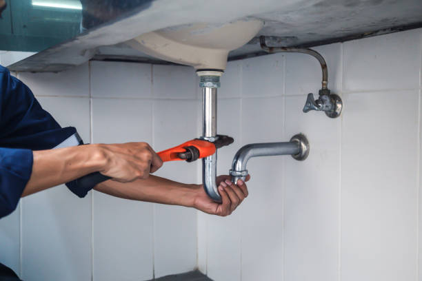 Best Plumbing Inspection Services  in Genoa, IL