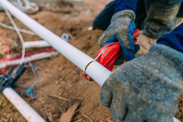 Best Clogged Drain Plumber  in Genoa, IL